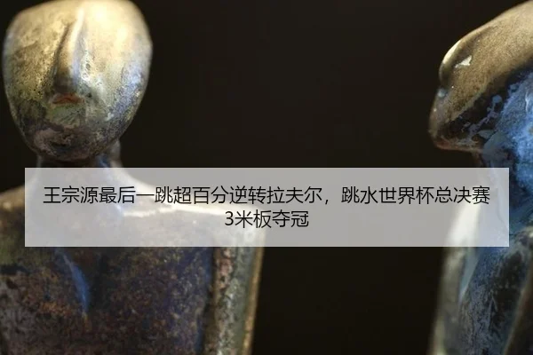 王宗源最后一跳超百分逆转拉夫尔，跳水世界杯总决赛3米板夺冠